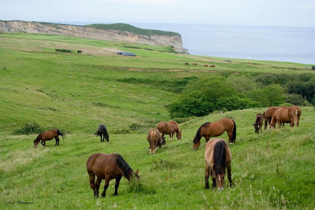 Posada Punta Ballota Suances Buitenkant foto